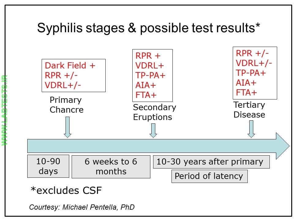 Possible syphilis testing results