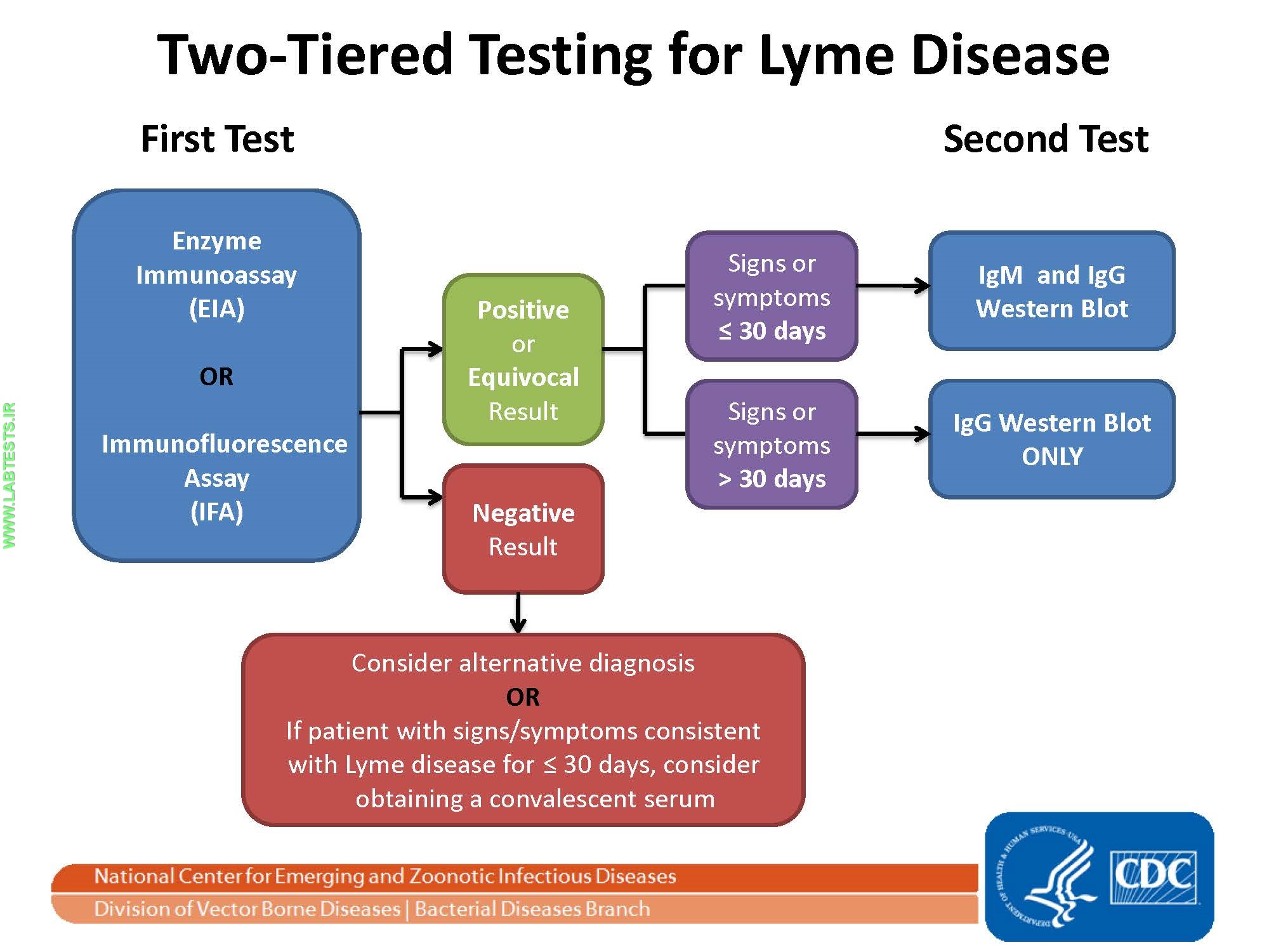 Diagram of two tiered testing for Lyme disease