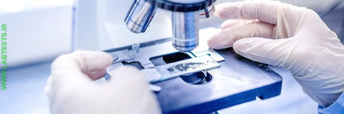 A pathologist examines tissue from a biopsy using a microscope