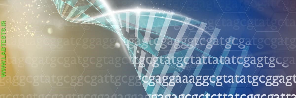 image of DNA
